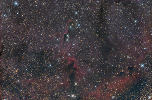 IC 1396A