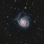 M101